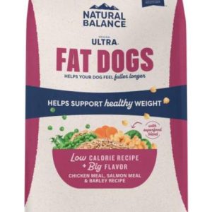 dog food fat dogs