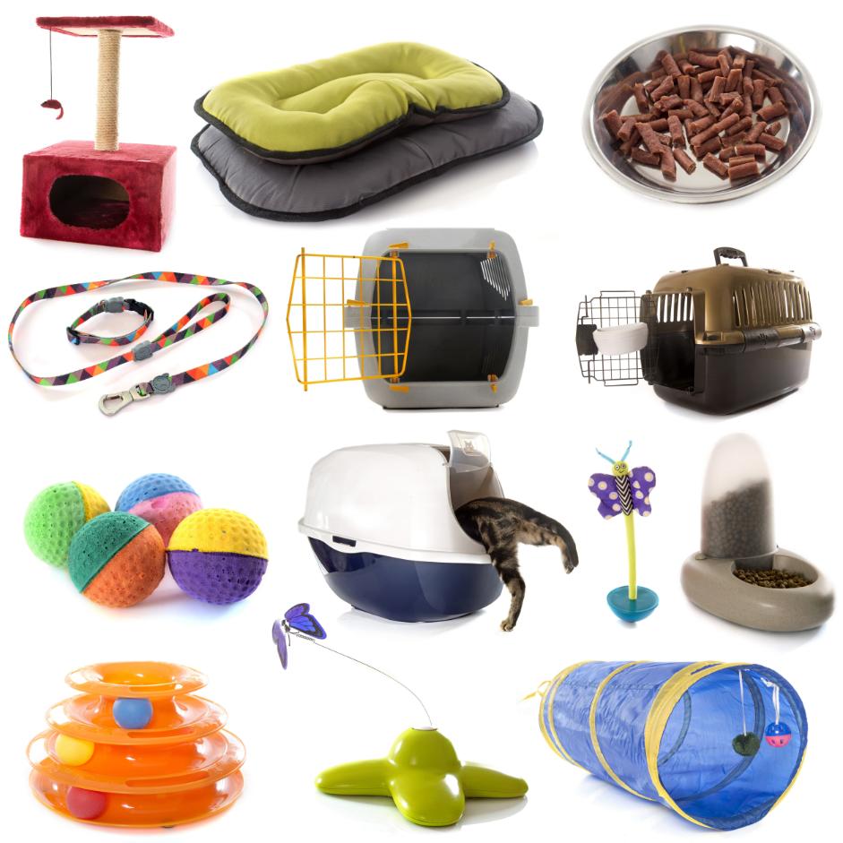 variety of items for pets